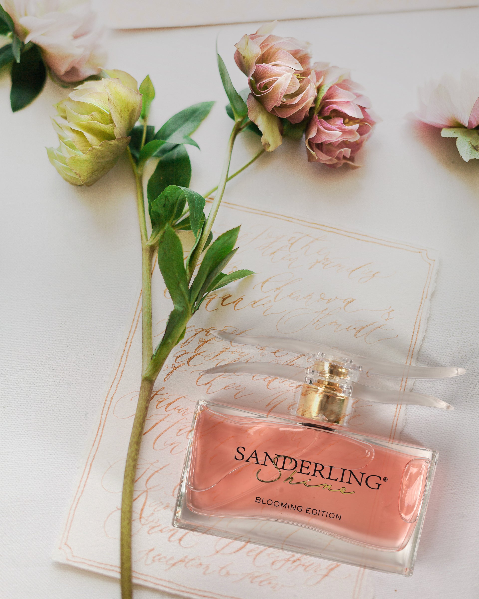 SANDERLING SHINE BLOOMING EDITION – Cyrus Sistelle